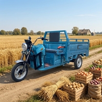 Tricycle électrique chinois à benne basculante |   Tricycle à benne agricole |   Conception de cabine ouverte à pédale