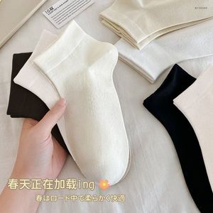 Ankle <b>Socks</b> For Women Solid Color Thin <b>Polyester</b> Disposable Breathable Daily Use Casual <b>Socks</b> Short Length All Season - Product Image 1