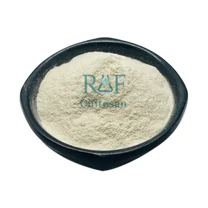 Daily Chemical Grade Chitosan Food-grade-chitosan Cas 9012-76-4 Plant Chitosan Powder
