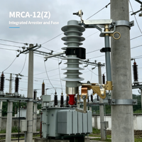 Dispositif de protection de transformateur de distribution ZHUOLI MACA-12(Z) – Combinaison parafoudre, fusible et coupe-circuit pour la protection contre les surtensions de foudre