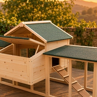 [En stock] Poulailler en bois respirant et robuste TIANYI pour la cour arrière
