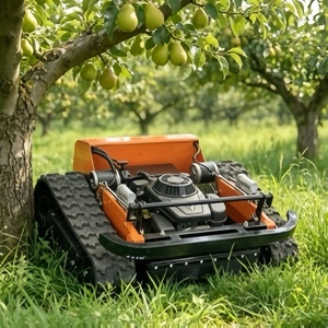 550B Small <b>Remote</b> <b>Control</b> <b>Mower</b> <b>Tracked</b> Grass Cutter 60. Climbing 200m RC for Residential Garden Narrow Space Orchard Weighs Onl - Product Image 1