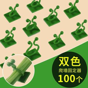Clip de sujeción para plantas verdes, gancho de pared ajustable para jardinería doméstica, 100 unidades - Product Image 1