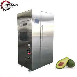 Hot Air Avocado Seed Dryer Maluma Avocado Drying Oven Machine