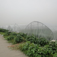 Hdpe Uv Gestabiliseerd Landbouwkas Insectennet Om Olijfvlieg En Automug Op Maat Te Voorkomen