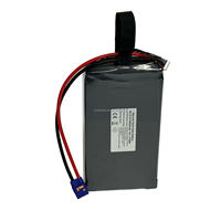 Batterie de drone rechargeable à semi-conducteurs haute capacité 6S 22,2V 80000mAh, décharge 10C, longue autonomie, pour drones industriels