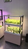Système d'irrigation hydroponique vertical automatique d'intérieur, pompe d'arrosage, matériaux certifiés écologiques de qualité alimentaire, utilisation domestique et agricole