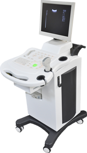 Máy siêu âm di động đen trắng giá rẻ, máy quét siêu âm cho bệnh viện - Product Image 3