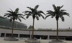 2m Outdoor Washington Künstliche Palme Indoor Kokosnuss bäume und Palmblätter Pflanze Elegante künstliche Pflanzens ammlung - Product Image 6