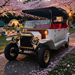 Coche Eléctrico de Turismo de Lujo Clásico Vintage con Batería de Litio de 72V, de Gran Autonomía, en Oferta en China - Product Image 1