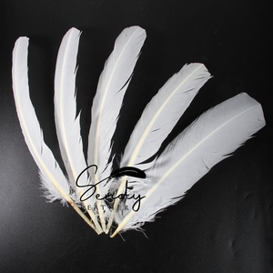 Vendita a buon mercato 12-14 "/30-35cm bianco tacchino tonda piuma piuma per carnevale copricapo zaino Costume - Product Image 4