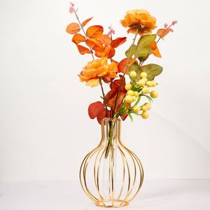Jarrón de Cristal Transparente para Flores, Decoración Creativa para el Hogar, Soporte de Metal Geométrico para Flores, Florero de Cristal Transparente - Product Image 5