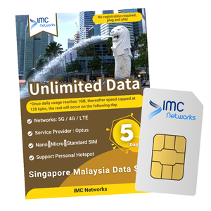 Carte SIM IoT mondiale personnalisée pour Singapour et la Malaisie, 4G 5G, données flexibles par mois, carte SIM d'itinérance d'un an, revendeur - Product Image 3
