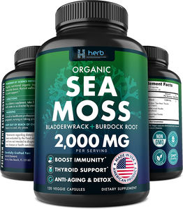 Kapsul Irish Sea Moss <span class=keywords><strong>Label</strong></span> Pribadi OEM, Suplemen Herbal Bladderwrack untuk Dewasa, Pendukung Imunitas, Bersertifikasi GMP - Product Image 1