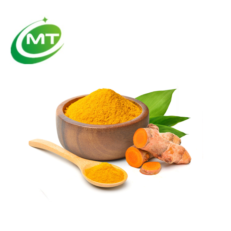 Organic Pure Organic Turmeric Root Extract Powder Curcuma Longa powder Instant Turmeric Powder