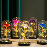Fleurs pour la Fête des Mères, la Graduation, Noël, Cadeaux pour Maman, Anniversaire Femme, Rose Galaxie Éternelle Faite à la Main sous Dôme en Plastique (Sans)