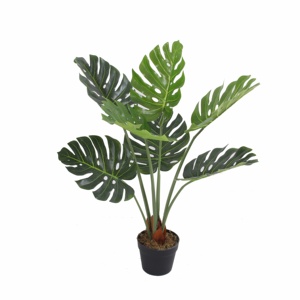 Planta de Monstera, Bonsái Artificial, Árbol en Maceta de Plástico, Realista, Ecológico, 85 cm, <span class=keywords><strong>Resistente</strong></span> a los Rayos UV - Product Image 5