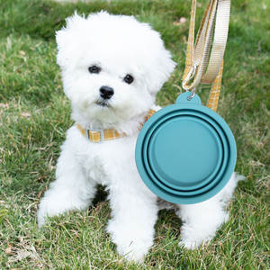 Ciotola di cibo per animali domestici pieghevole per esterni con logo personalizzato Anti-fuoriuscita in <span class=keywords><strong>Silicone</strong></span> per cani e gatti - Product Image 5