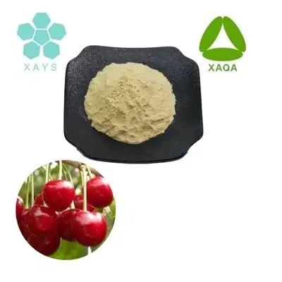 Organic Acerola Cherry Extract Powder 17% Vitamin C Powder