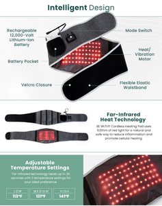 Productos más vendidos 2024 cinturón de calor electrónico alivio del dolor de espalda vibración cinturón de masaje de cintura - Product Image 6