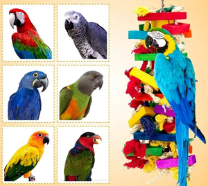 Eco-Friendly Natural Wood Chewing Bird <strong>Parrot</strong> Beak <strong>Toy</strong> Soft Plush Cotton Tearing <strong>Toy</strong> for African <strong>Grey</strong> <strong>Parrots</strong> Packaged in Carton - Product Image 3