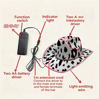 Cappello LED Luminoso Stile Western Cowboy/Cowgirl, Cappello con Luci EL per Feste Danzanti, Accessorio per Giochi di Ruolo