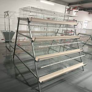 Les équipements de ferme avicole de conception soient utilisés au poulailler - Product Image 4