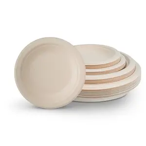 10-Inch Eco-Friendly Biodegradable Sugarcane Bagasse Disposable Primary Plates BPA-Free And Customizable For Parties