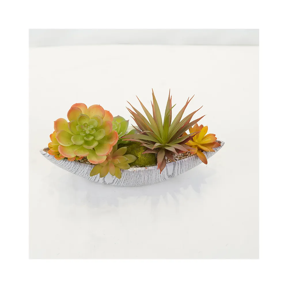 פרימיום בונסאי קישוט שולחן עם פלסטיק עסיסי אלוורה מעורב ירוק צמחים מלאכותי עסיסי ואלוורה צמחים