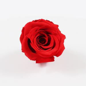 Teste di <span class=keywords><strong>Rose</strong></span> Stabilizzate All'Ingrosso, Aspetto Naturale di Fiori Freschi Eterni per Tutte le Occasioni, Regalo e Decorazione, OEM ODM - Product Image 6