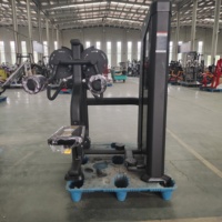 Machine à soulever latéralement en promotion – Équipement de fitness commercial pour salle de sport et entraînement sportif