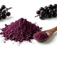 Bulk Acai Bessenpoeder Natuurlijk Superfood Fruitpoeder Rijk aan Anthocyanen voor Smoothies en Voedingssupplementen OEM ODM
