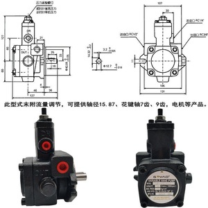 ปั๊มไฮดรอลิก GeYao Variable Vane Pump รุ่น VP 40 FA3  40 ลิตร/นาที แรงดัน 70 กก.ซม.² - Product Image 2