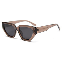 Lunettes de soleil polarisées œil-de-chat TR90 pour femmes et hommes, style rétro, collection 2026, vente en gros, Chine