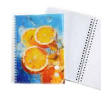Carnet de notes à double spirale avec logo personnalisé Agenda format A5 couverture PP semi-transparente pour l'école ou le journal