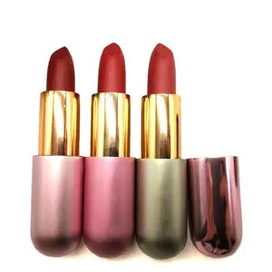 Personnalisez votre propre logo de rouge à lèvres Marque Matte Red Lipstick vendeur