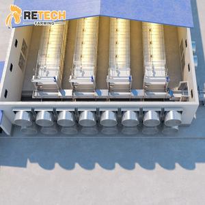 Alat perternakan Ayam otomatis sepenuhnya struktur baja rumah Prefab unggas - Product Image 4