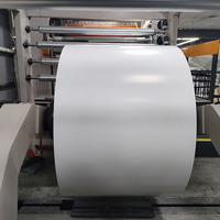 Papier d'art C2S double face de 250gsm/300gsm/350gsm 70x100cm enduit pour l'usage industriel d'impression