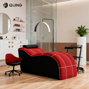 Meubles de salon modernes de luxe, lit de beauté compressible et peu encombrant |   Utilisation commerciale pour les soins du visage, les massages et les soins des pieds - Product Image 1