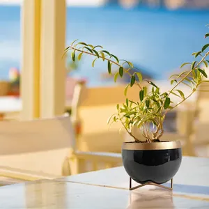 Pot de fleur plaqué laiton pour la décoration de restaurant d'hôtel à la maison Produit de haute qualité dans les jardinières et les pots de fleurs Catégorie par HHO - Product Image 4