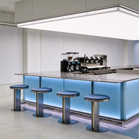Comptoir éclairé par LED avec bordure en verre givré pour îlot de cuisine, bar ou station café