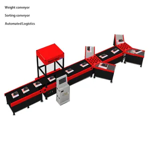 Intelligent Sorting Conveyor System Conveyor Belt Sorting Machine Sistem Dws