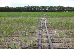 Tubo in HDPE Nero ad Alta Resistenza, Diametro 4.0 Pollici, Non Tossico, Anticorrosione, per Trasporto Industriale di Acqua e Gas, Lunghezza 6 Metri - Product Image 6