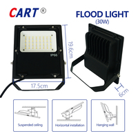 Projecteur LED extérieur 30W, 200-240V, application Tuya WIFI 2.4G, IP66, éclairage de terrain de tennis, éclairage de rue, avec boîtier noir en aluminium