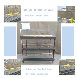 Cage à poulets automatique de type H, galvanisée à chaud, équipement d'élevage avicole de grande capacité pour ferme avicole, à <span class=keywords><strong>vendre</strong></span> - Product Image 6