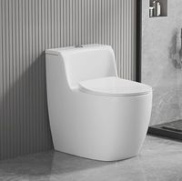 WC monobloc en céramique de couleur, design moderne et unique, allongé, à double chasse d'eau, à siphon en S, pour usage hôtelier