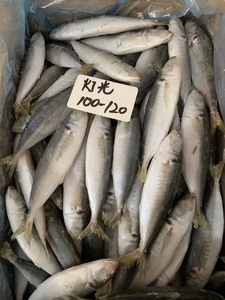 China Exportados Nova Temporada Preço Barato Congelado <span class=keywords><strong>Round</strong></span> Scad Peixe Inteiro Cavala De Alta Qualidade Scad <span class=keywords><strong>Fish</strong></span> para Venda - Product Image 3