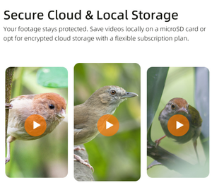 Mangeoire à oiseaux intelligente avec caméra IA, vision en direct HD 2.5K, alimentation solaire, reconnaissance instantanée des espèces d'oiseaux, alertes en <span class=keywords><strong>temps</strong></span> réel, sans fil, cadeau idéal - Product Image 3