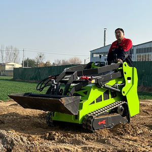 Minicargadora de Alta Calidad con Cucharón de 0.2m³ de Capacidad, Motor Diésel, Bomba de Alto Rendimiento, Mejor Precio Global - Product Image 4