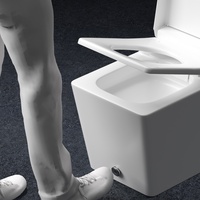 Bidet de WC automatique intelligent de forme carrée articles sanitaires électriques intelligents piège en S compatible avec le drainage télécommande monobloc